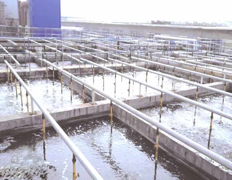 Application des eaux usées municipales et avantages du filtre-presse dans